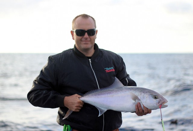 Robs amberjack Robs amberjack